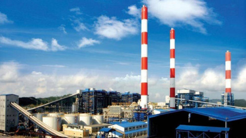 SCIC đấu giá Nhiệt điện Quảng Ninh, dự thu 1.200 tỷ đồng