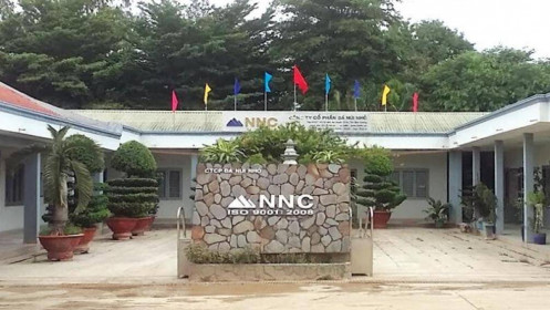 Chia cổ tức cao, Đá Núi Nhỏ “ăn” gần hết của để dành