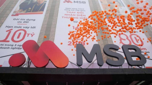 Ế ẩm đấu giá, mức giá nào phù hợp với MSB khi lên sàn chứng khoán?