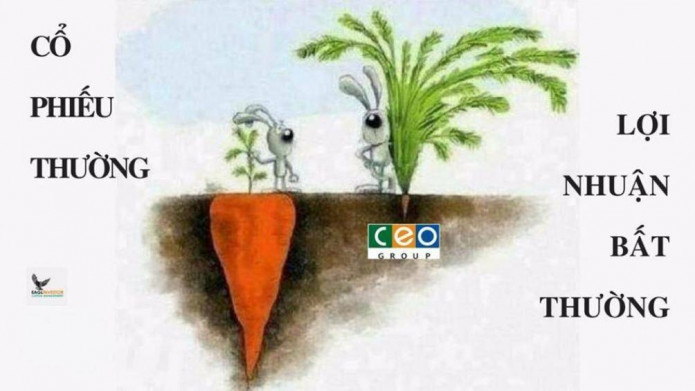 CEO – Liệu có quay đầu?