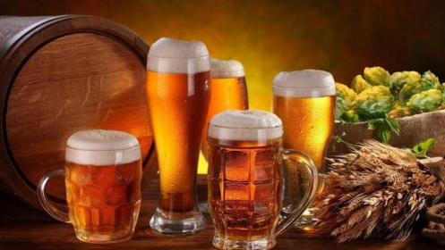 Bia Hà Nội – Hải Dương (HAD) trả cổ tức năm 2018 tới gần 220% bằng tiền mặt