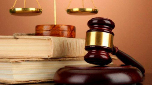 Các Luật có hiệu lực từ năm 2020