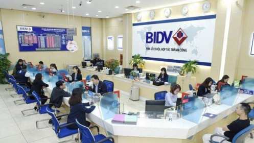 Lãi trước thuế năm 2019 của BIDV đạt 10,768 tỷ đồng