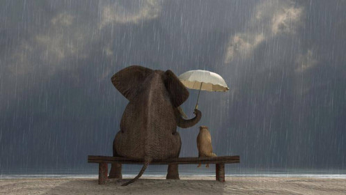 Thành công trên sự nghiệp nằm ở hai chữ sau nhưng ít người nói với bạn