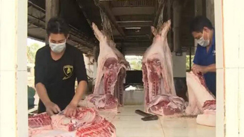 Giá lợn hơi giảm gần 20.000 đồng/kg