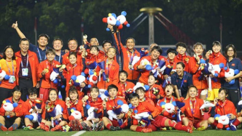 “Sức khỏe” tài chính Hóa chất Đức Giang bị tố “xù thưởng” tuyển nữ Việt Nam thế nào?