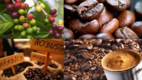 Thị trường ngày 16/01: Giá dầu, quặng sắt, thép và cao su đồng loạt giảm, palađi tiếp tục phá kỷ lục mới