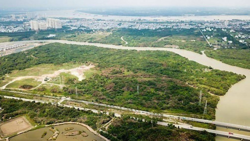 Ai là tác giả vụ án công ty Tân Thuận, liên quan đến trách nhiệm ông Tất Thành Cang?