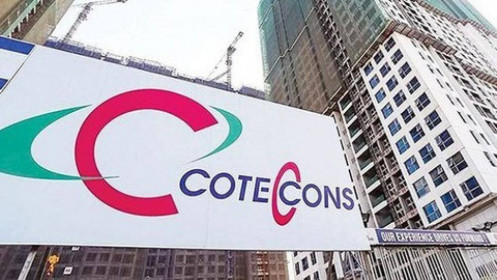 Năm 2019, các nhà thầu xây dựng làm ăn ra sao?