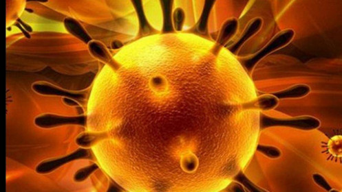 Những điều cần biết về virus Corona mới