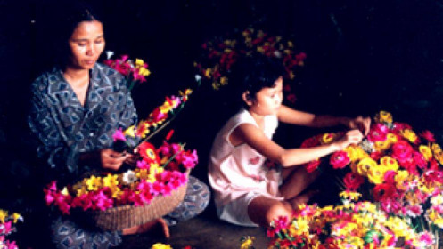 Làng hoa giấy Thanh Tiên: Tô điểm mùa Xuân xứ Huế