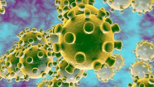 Australia tái tạo thành công virus corona trong phòng thí nghiệm, mở ra cơ hội chế tạo vaccine