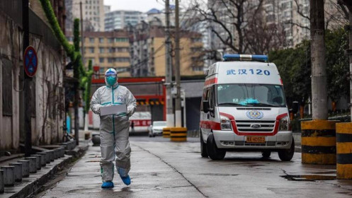 Phòng virus corona, dừng làm thủ tục hải quan qua các đường mòn, lối mở với Trung Quốc