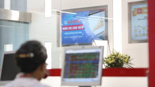 Thị phần môi giới 2019: SSI mất vị số 1, Chứng khoán Bản Việt tụt dốc trên UPCoM, VPS thống trị thị trường phái sinh