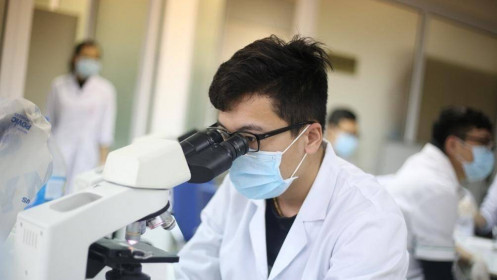 Các nhà khoa học VN bắt đầu thử nghiệm thuốc điều trị bệnh từ virus corona