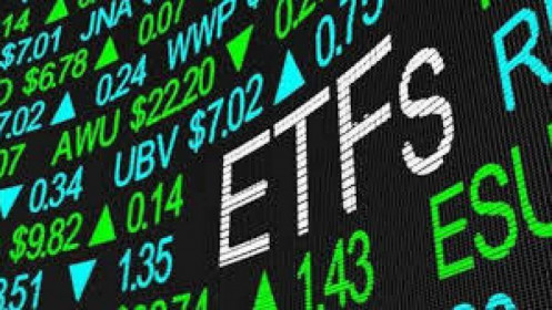 V.N.M ETF loại ROS khỏi danh mục