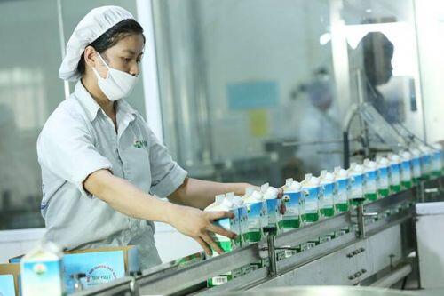 Lãnh đạo Vinamilk và GTNfoods nói gì sau thương vụ thâu tóm?