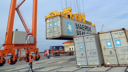 T&T Group nhập nông sản Mỹ trị giá 115 triệu USD giữa dịch Covid-19