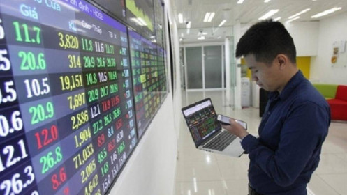Những cổ phiếu ngược đà bán ròng của khối ngoại