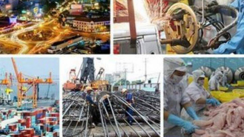 Giống như sau trận "cháy", chu kỳ mới của kinh tế sẽ lại bắt đầu