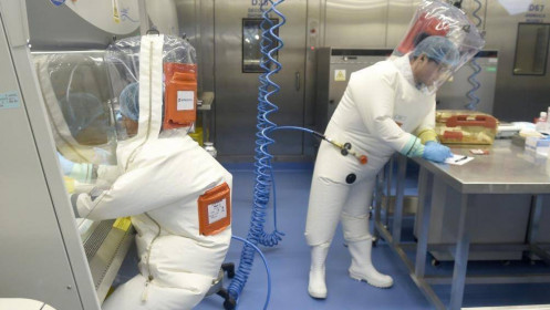 Động thái của ông Trump chấm dứt hàng triệu USD chảy vào Viện virus học Vũ Hán?