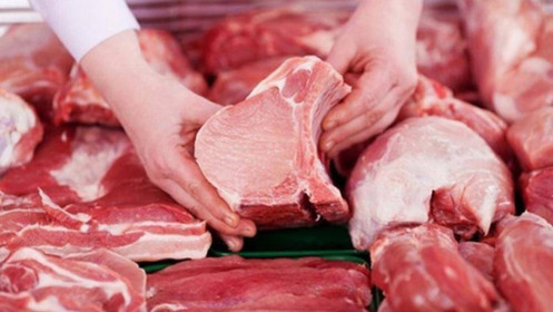 Giá lợn hơi cao kỷ lục, có tiền chưa chắc mua được