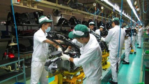 Cẩn thận "cơ hội vàng" sẽ có lẫn đất sét