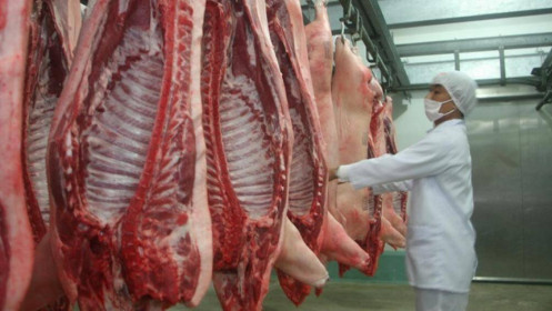 Không phải chim sẻ, thịt lợn xứng đáng là đại bàng của kinh tế