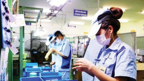 Làm gì để thu hút được “đại bàng” đến làm tổ?