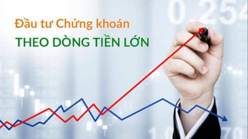 Giá trị của tri thức trên thị trường