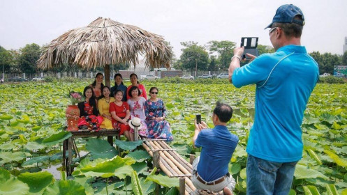 Người Hà Nội đổ xô đi chụp ảnh sen, chủ đầm ung dung ngồi mát đếm tiền mỏi tay