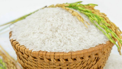 Nguy cơ thiếu gạo là có thật