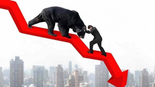 Chiến lược thông minh cho thị trường giảm điểm