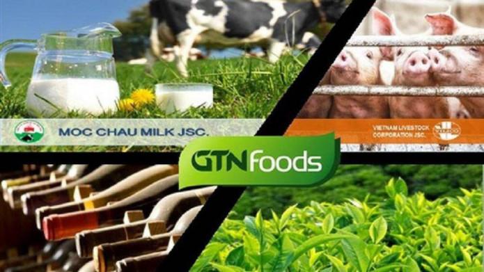 GTN – Chuyển mình cùng VNM