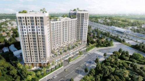 Thuduc House đặt mục tiêu lợi nhuận năm 2020 tăng 84%, tái cơ cấu để bứt phá hậu dịch