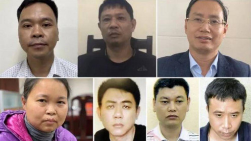 Vụ án công ty Nhật Cường: Những ai đã bị bắt, khởi tố?