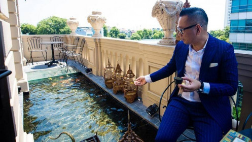 Đại gia Hà thành chi 10 tỉ sở hữu đàn cá Koi quy tụ toàn “siêu phẩm”, có con lên tới 120 triệu