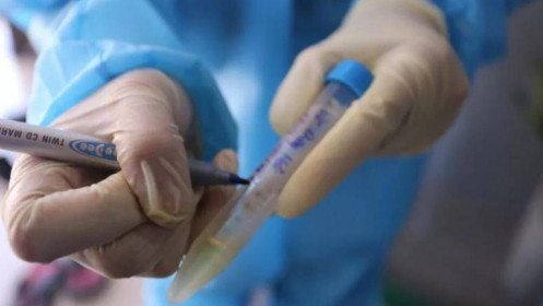 WHO nói gì về việc ngăn chặn đợt bùng phát dịch mới tại Việt Nam?
