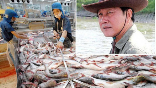 'Vua cá tra' trả giá vì sai lầm trong quá khứ