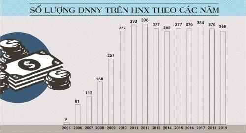 20 năm đi lên từ 2 mã chứng khoán đầu tiên