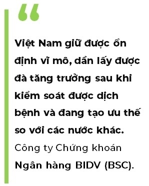 Thị trường chứng khoán: Kỳ vọng dòng tiền nội sẽ nhập cuộc