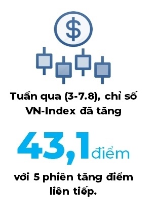 Thị trường chứng khoán: Nhà đầu tư đã dần chuyển sang trạng thái lạc quan