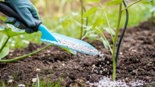 DPM – Liệu có lợi khi mảng Năng lượng tăng đột phá?