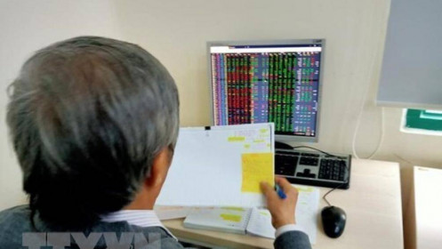 Chỉ số chứng khoán VN-Index duy trì đà tăng mạnh trong tháng 11