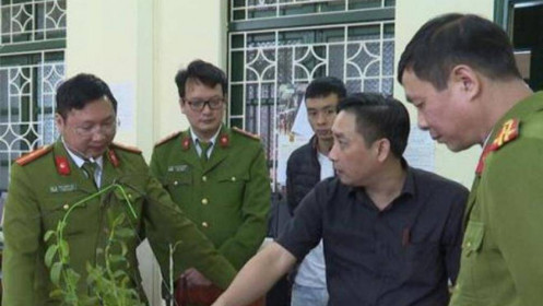 Lan phi điệp đột biến bạc tỷ quay ngoắt giảm giá, người mua ngậm 'trái đắng'