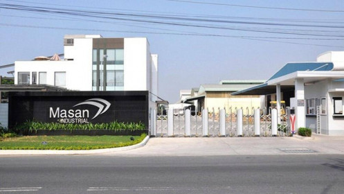 Masan dự chi hơn 1,170 tỷ đồng trả cổ tức