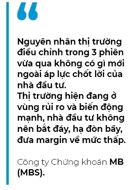 Nguyên nhân khiến thị trường chứng khoán Việt Nam giảm mạnh
