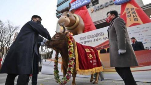 Chứng khoán toàn cầu ngập tràn sắc xanh trong phiên đầu năm 2021