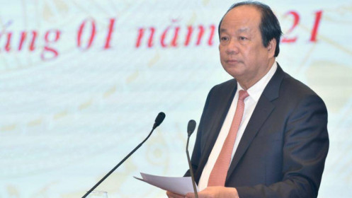 Một chiếc kẹo socola từng "cõng" đến 13 giấy phép
