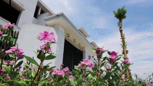 Tết tằn tiện của môi giới địa ốc